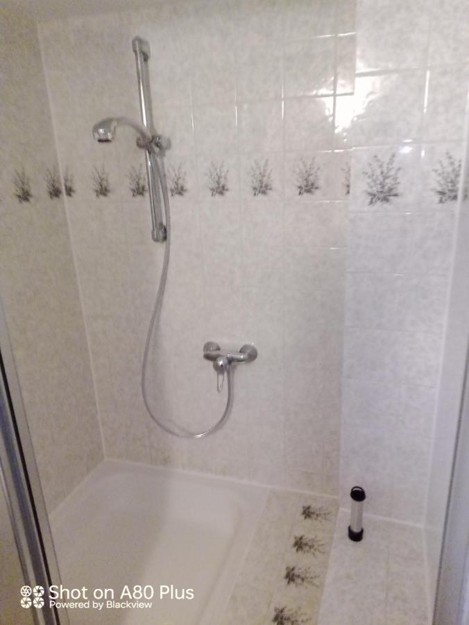 Gruene Aue Apartment Michendorf Bagian luar foto